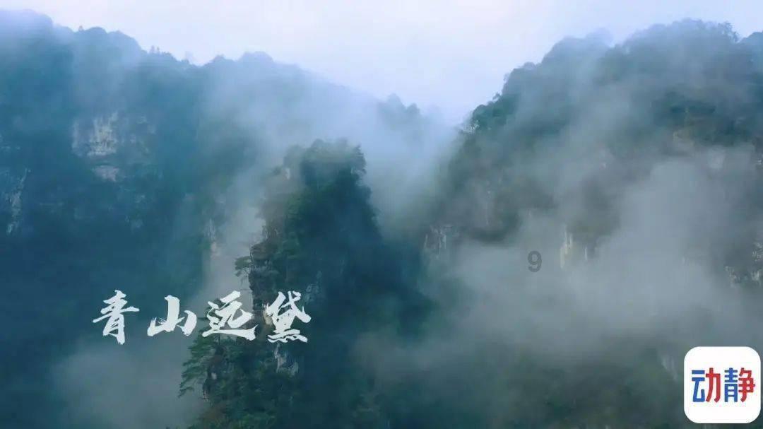 利润表中净利润的本年累计数填在纳税申报表A表的哪？