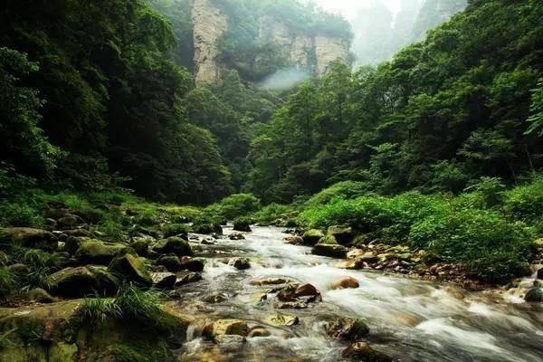 河南足球青训升级 教练员与队员同步开启选拔面试