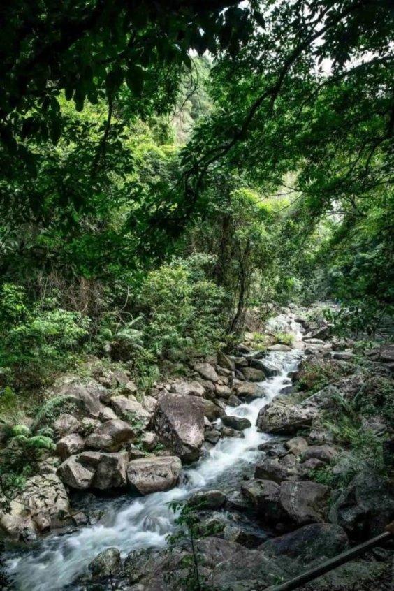 便民服务平台激发乡村治理效能