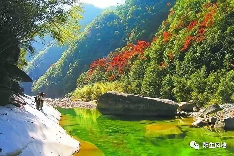 逃离制药厂