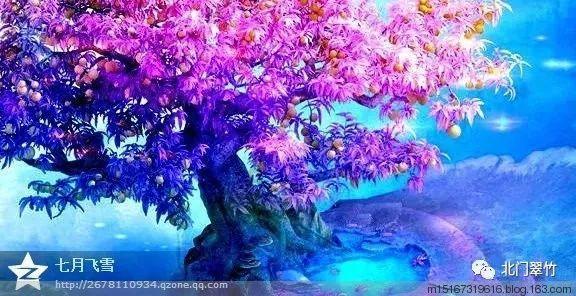 广东医师资格证查询游戏画面